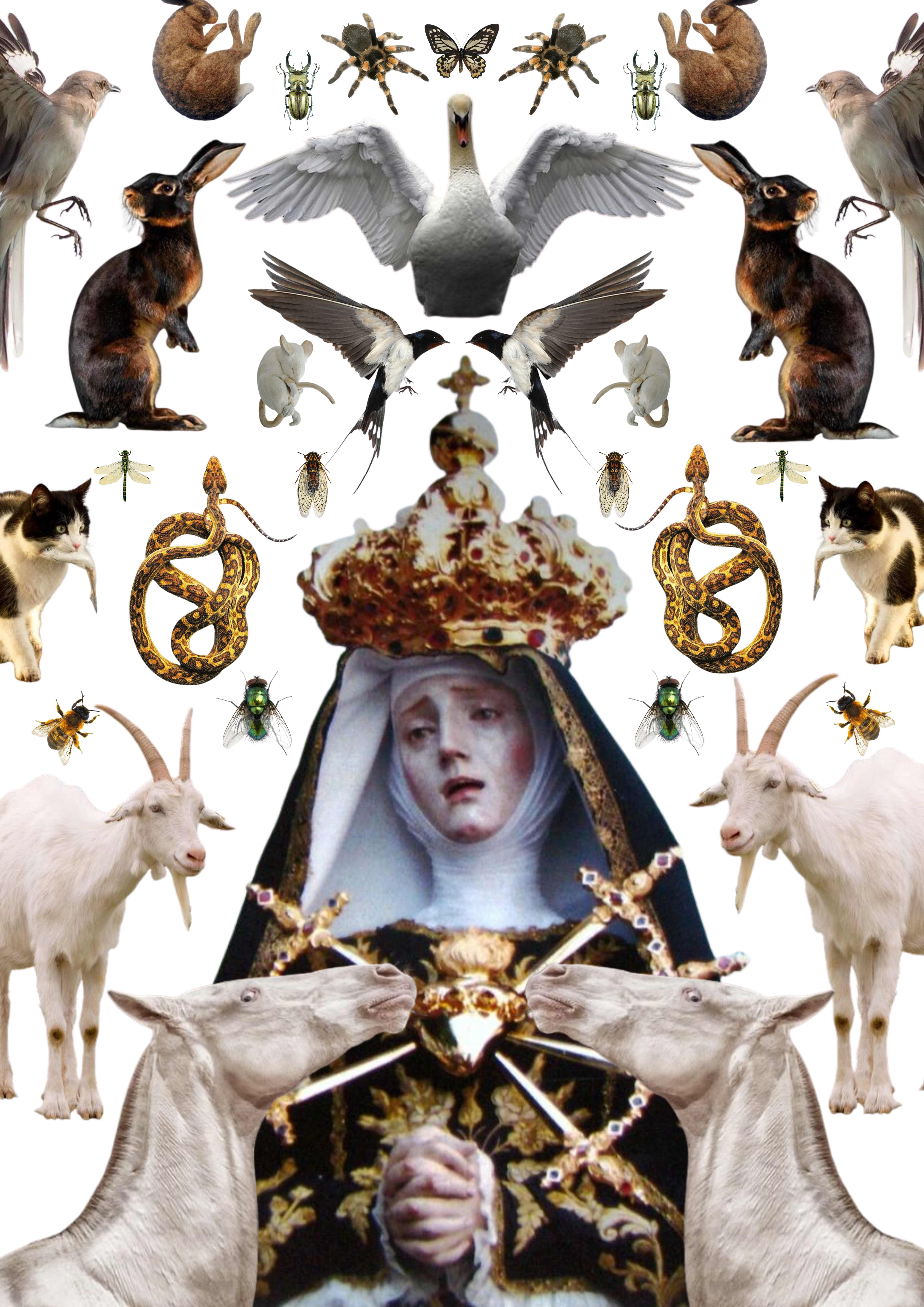 Portfolio work by Charlotte