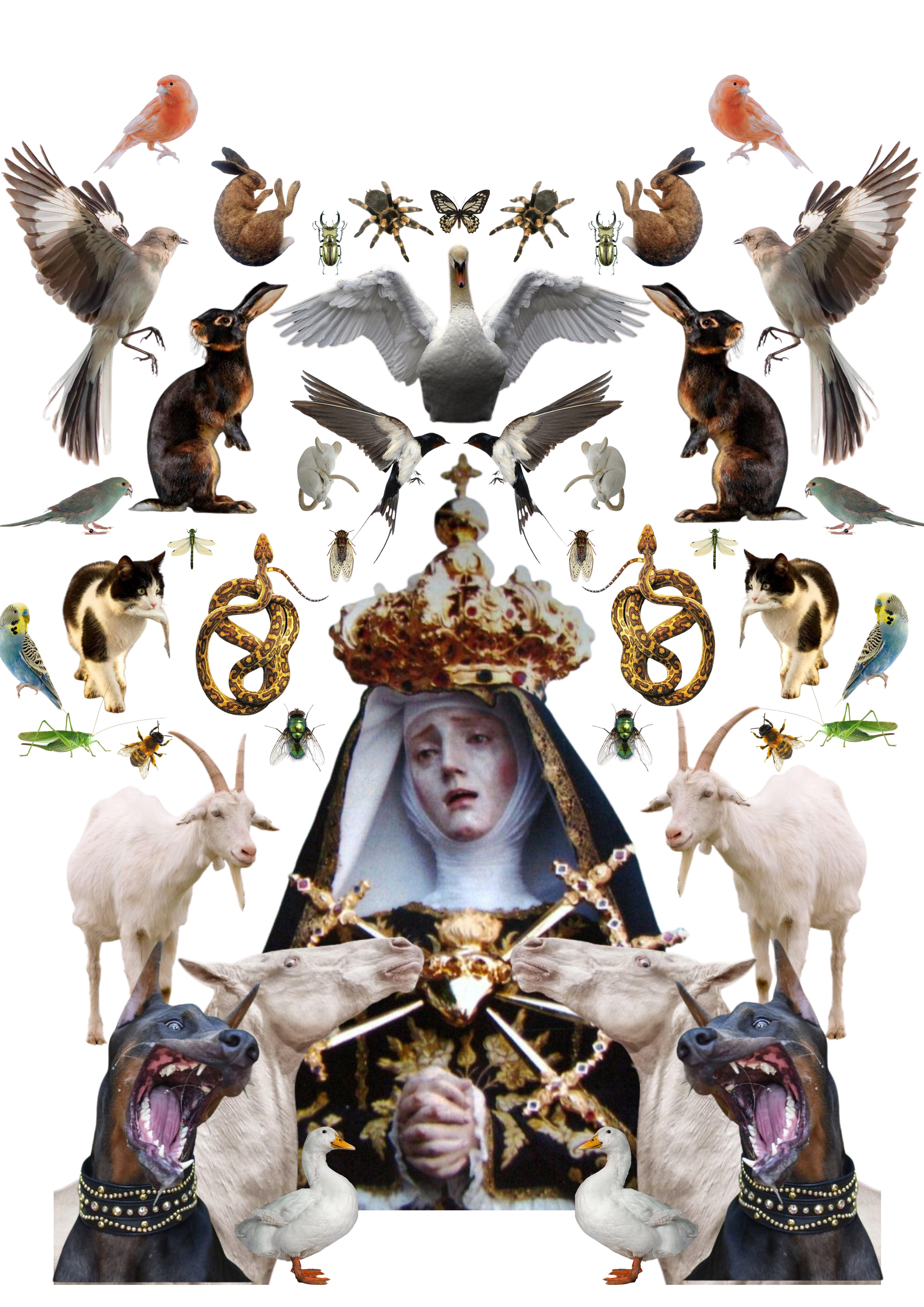 Portfolio work by Charlotte